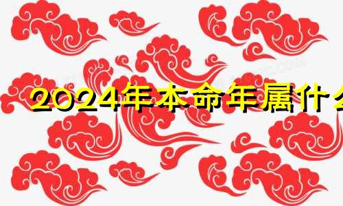 2024年本命年属什么 2024年本命年生孩子