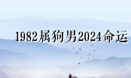 1982属狗男2024命运 1982年属狗男2023年运势及婚姻历程