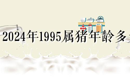 2024年1995属猪年龄多大 95属猪2023年下半年运势