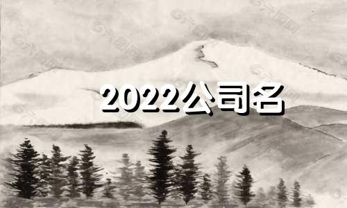 2022公司名 