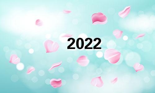 2022 就地过年 2021就地过年