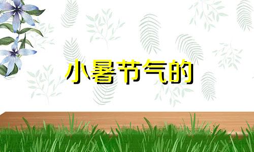 小暑节气的 小暑节气的气候特征