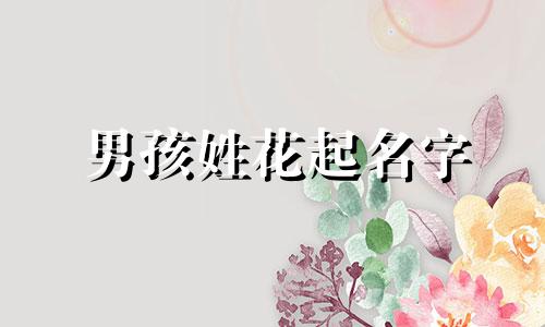 男孩姓花起名字 花姓男孩名字风雅