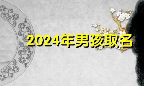 2024年男孩取名 奚男孩子名字