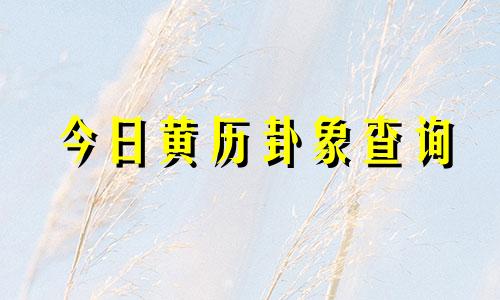 今日黄历卦象查询 老黄历今日卦象