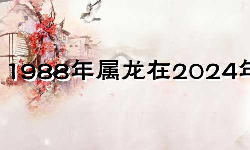 1988年属龙在2024年运势 1988年属龙男2023年全年运势及婚姻