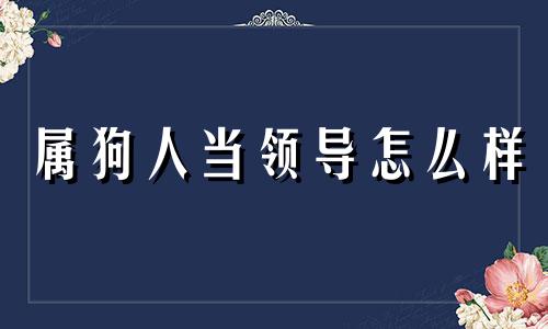 属狗人当领导怎么样 属狗人为什么不适合做领袖