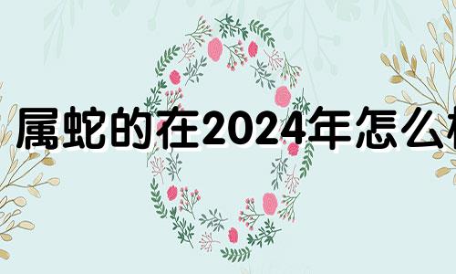 属蛇的在2024年怎么样 属蛇人在2024年的全年运势