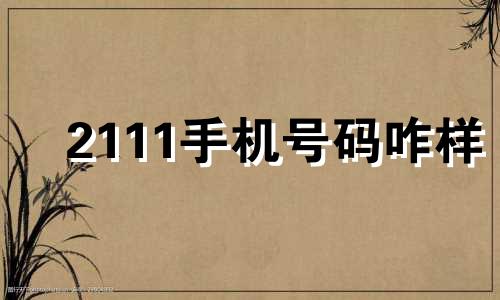 2111手机号码咋样 手机号11111111