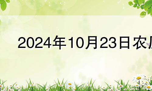 2024年10月23日农历 2020年农历十月二十四是什么日子