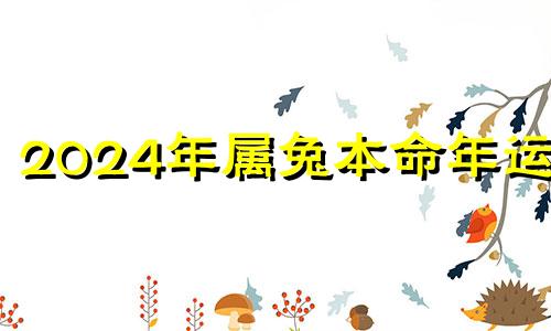 2024年属兔本命年运势 2024年属兔的命运怎么样