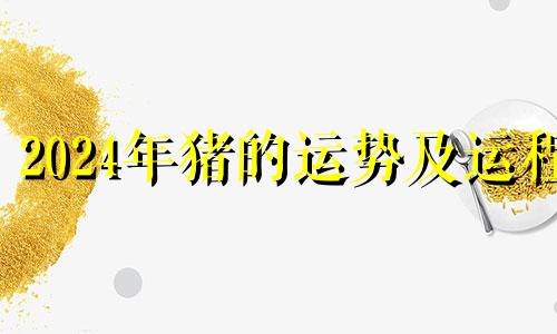2024年猪的运势及运程 2024年猪人财运