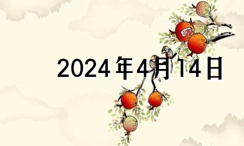 2024年4月14日 2023年4月13日