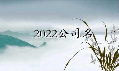 2022公司名 2021年好的公司名字