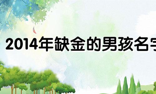 2014年缺金的男孩名字 2020年孩子缺金取名