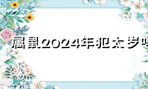 属鼠2024年犯太岁吗? 84年2024年属鼠人的全年运势