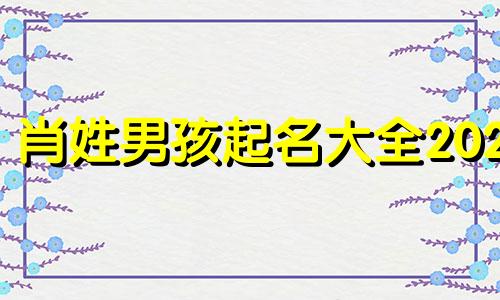 肖姓男孩起名大全2023 肖姓男孩起名俩个字