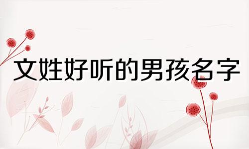 文姓好听的男孩名字 文姓男孩有寓意的名字大全