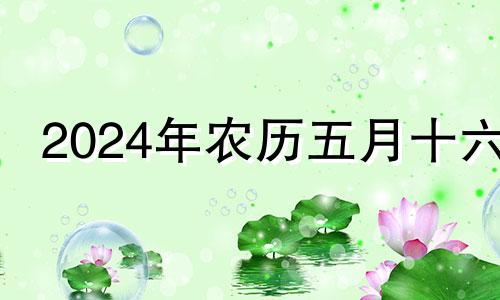 2024年农历五月十六 2024年的5月14日