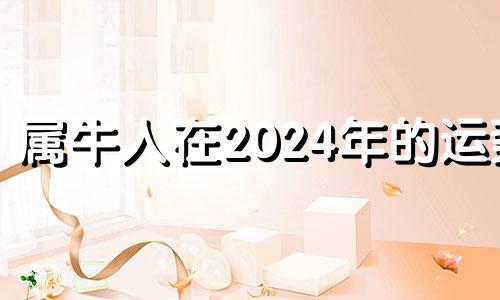 属牛人在2024年的运势 属牛2024年运势及运程每月运程