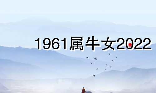 1961属牛女2022 1961年属牛人在2020年运势女