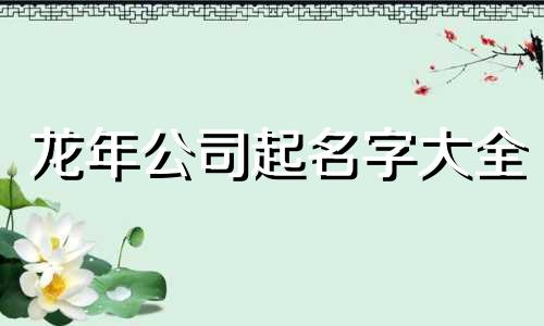 龙年公司起名字大全 属龙公司取名字