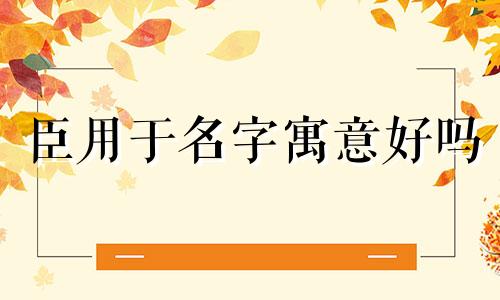 臣用于名字寓意好吗 臣用作名字