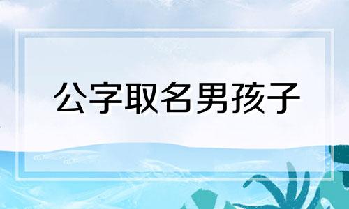 公字取名男孩子 公取什么名字好