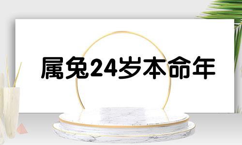 属兔24岁本命年 2024本命年属什么生肖