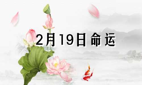 2月19日命运 2月19号是什么命