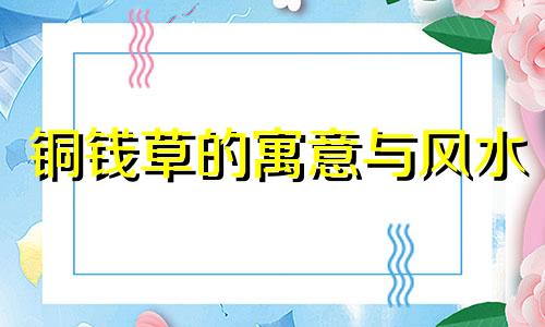 铜钱草的寓意与风水 铜钱草有什么寓意