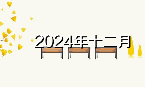 2024年十二月 2024年12月12日