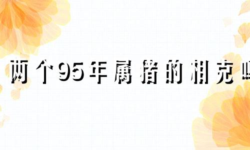 两个95年属猪的相克吗