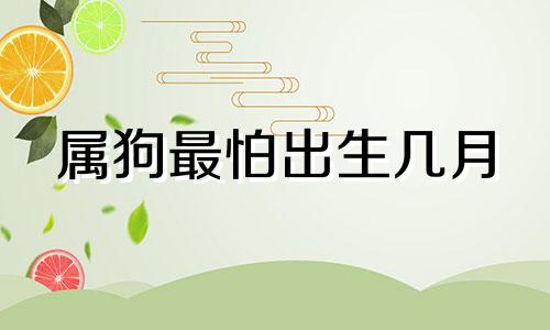 属狗最怕出生几月 生肖狗最怕什么