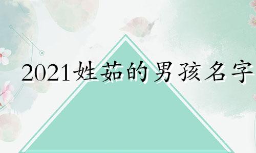 2021姓茹的男孩名字 茹姓起名字