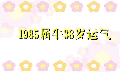 1985属牛38岁运气 属牛1985三十五以后命