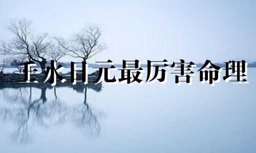 壬水日元最厉害命理 壬水日元是什么意思