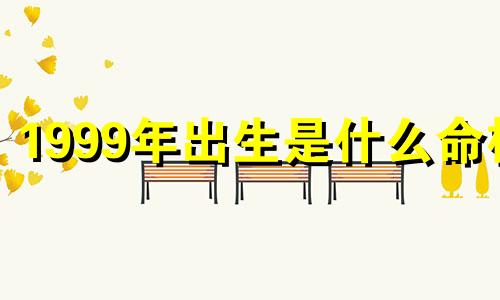 1999年出生是什么命格 1999年出生是什么命五行缺什么