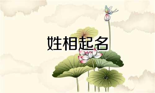 姓相起名 姓相里名字取什么好