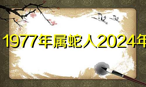 1977年属蛇人2024年运势 1977年属蛇女在2024年运程和运势