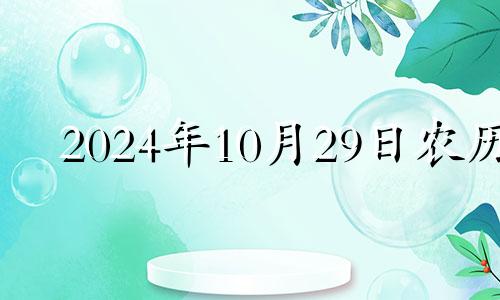 2024年10月29日农历 2020年农历十月二十四黄历