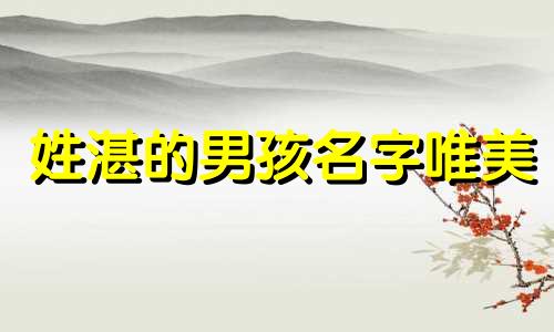 姓湛的男孩名字唯美 湛氏名字