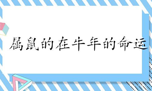 属鼠的在牛年的命运 属鼠在属牛年怎么样