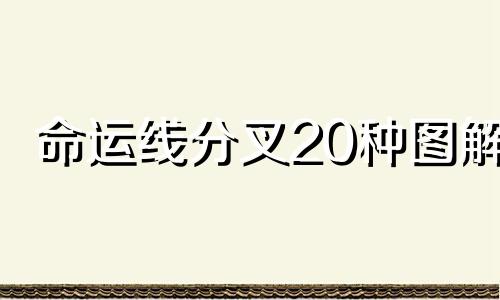 命运线分叉20种图解 命运线上有很多分叉什么意思