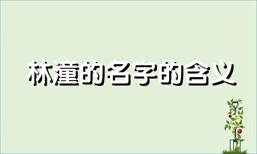 林潼的名字的含义 林欣潼名字的含义