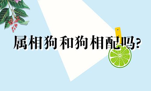 属相狗和狗相配吗? 属相狗和属狗的相配吗