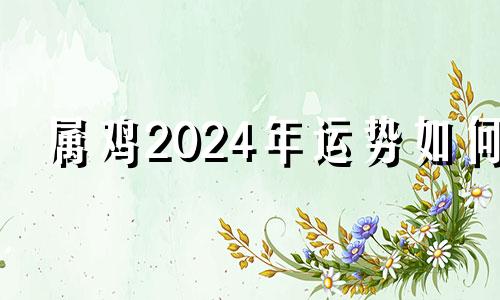 属鸡2024年运势如何 属鸡2024年运势及运程详解