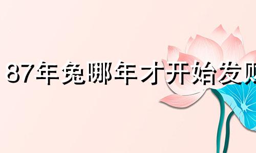 87年兔哪年才开始发财 哪个生肖最旺兔