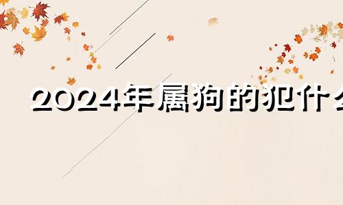 2024年属狗的犯什么 生肖狗在2024年的运势以及注意月份