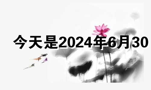 今天是2024年6月30日 2024年6月6日黄历